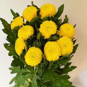Букет цветов "Желток"