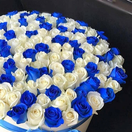 101 роза синяя и белая в коробке - Фото 3