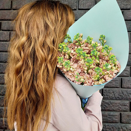 Букет из пудровой маттиолы - Фото 3