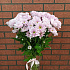 Хризантема розовая №160 - Фото 2