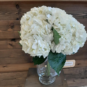 Букет с гортензиями №210
