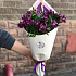Букет цветов Вайолет - Фото 1