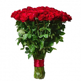 101 красная роза Премиум Эквадор 80 см.