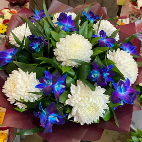 Хризантема №168