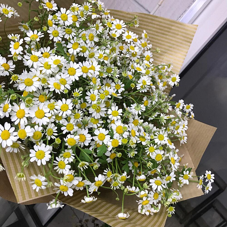 Букет Ромашки №212 - Фото 3