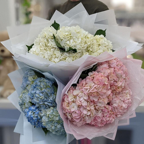 5 розовых гортензии - Фото 5