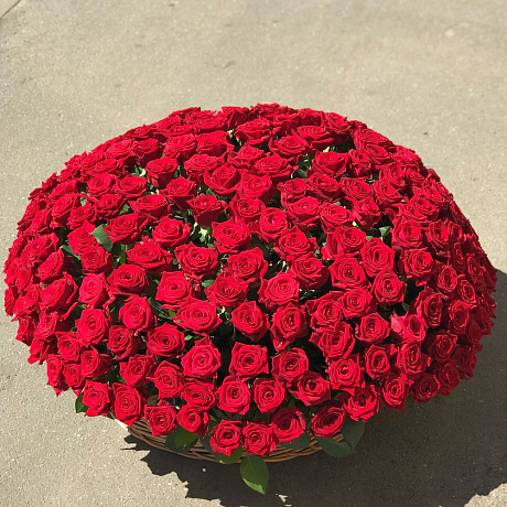 Корзины с цветами.  Красные Розы. 201 роза. N171 - Фото 2