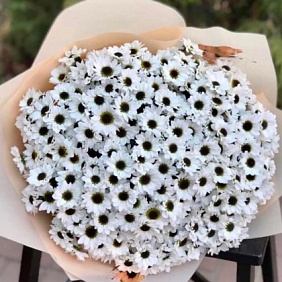 Букет из хризантем инь-янь