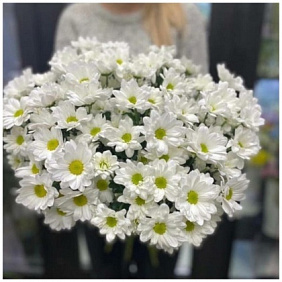 Букет кустовых хризантем №172