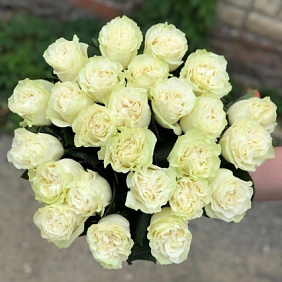 Букет из 25 Эквадорских роз, сорта Мундиаль, 70 см. Очень стойкая, крепкий бутон