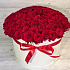 101 красная роза в коробке - Фото 2