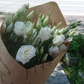 Эустома в крафте №162