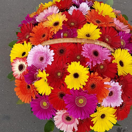Букет из герберы №160 - Фото 3