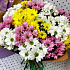 Букет цветов Твое утро - Фото 2