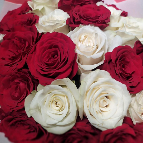 Букет 25 роз микс красная и белая роза - Фото 4