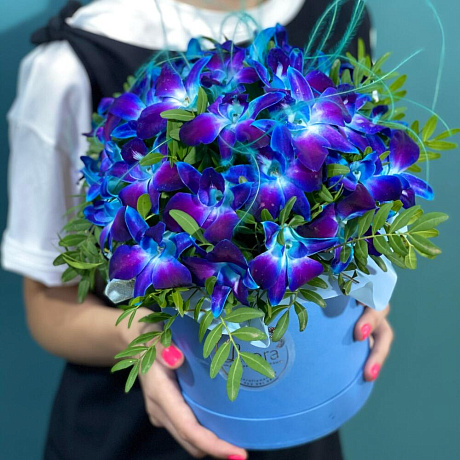 Букет цветов Космос в шляпной коробке №160 - Фото 2