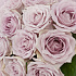 15 сиреневых розочек - Фото 4