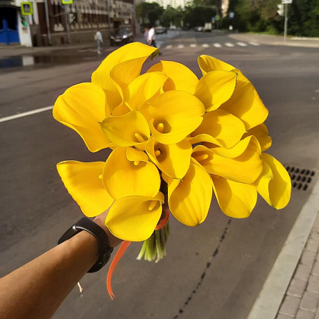 Букет из жёлтых калл - Фото 3