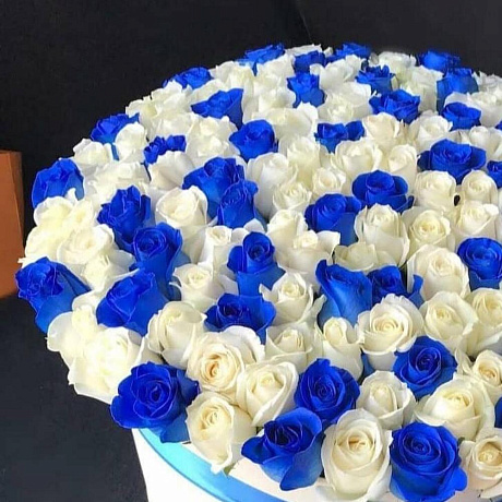 101 роза синяя и белая в коробке - Фото 2