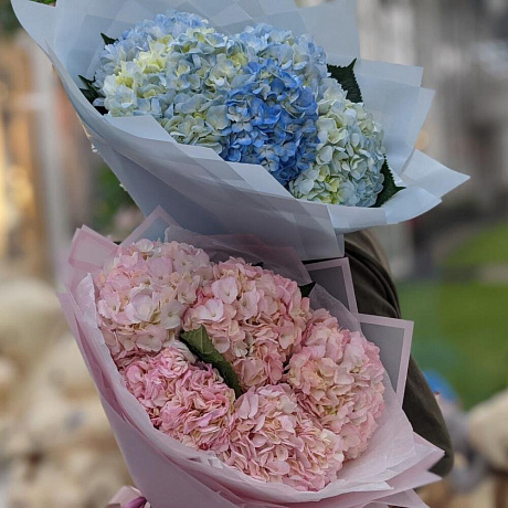 5 розовых гортензии - Фото 4