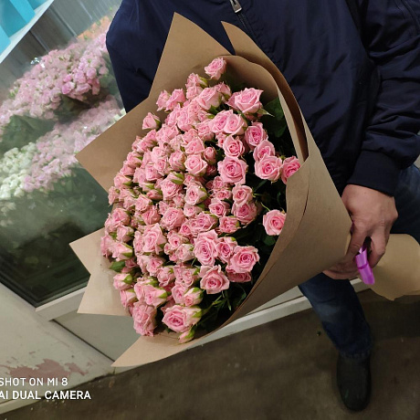 Куставая роза - Фото 6