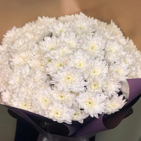 Кустовые хризантемы №160 - Фото 4