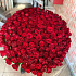Букет из 201 розы №160 - Фото 1