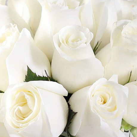 Букет из 25 роз Proud в вазе - Фото 3