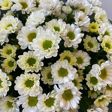 Букет цветов Капли росы - Фото 5