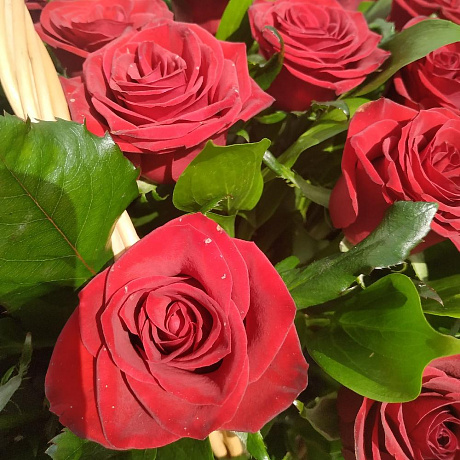 79 красная роза в корзине - Фото 3