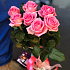 Букет из 7 розовых роз - Фото 2