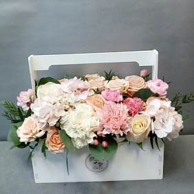 Ящик с гортензией