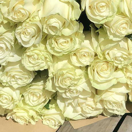 51 белая роза 70 см в крафте - Фото 5