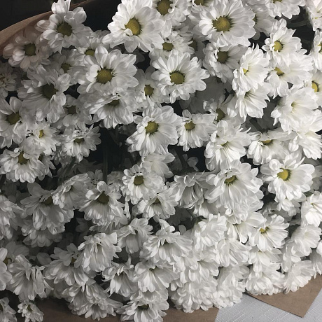 Букет из 21 хризантемы - Фото 5