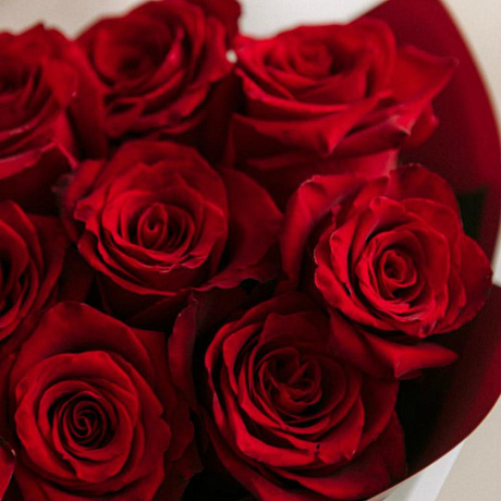 Красные розы 19 - Фото 4