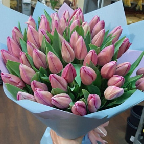 Букет из розовых тюльпанов (49 шт.)