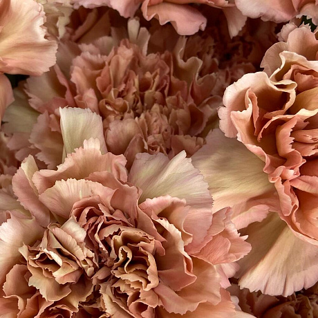 Букет цветов Карамель №170 - Фото 3