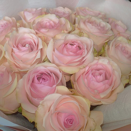 Моно-букет из Эквадорской розы Новиа 70см - Фото 4