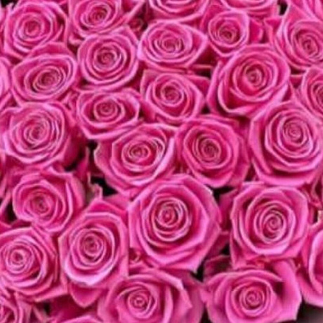 Букет из 51 розы Аква №3 - Фото 4