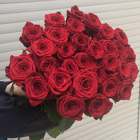 Ред найоми 70см - Фото 4