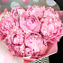 Букет из 9 пионов Сара Бернар - Фото 6