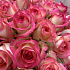 31 розовая Роза №160 - Фото 4