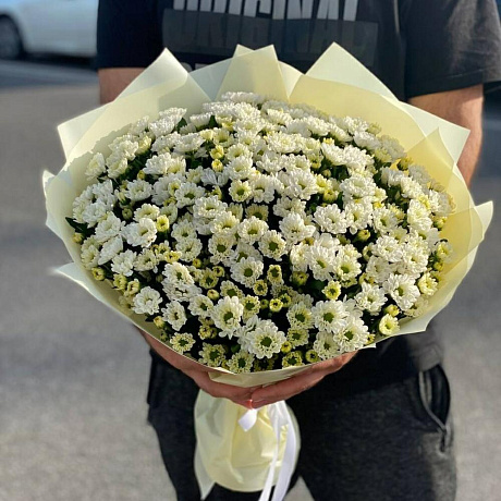 Сантини №160 - Фото 4