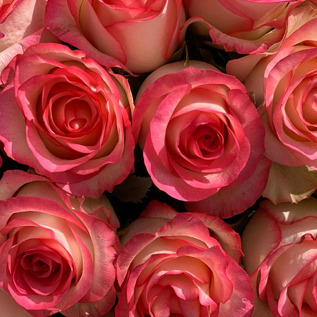 Букет цветов Джамиля - Фото 5