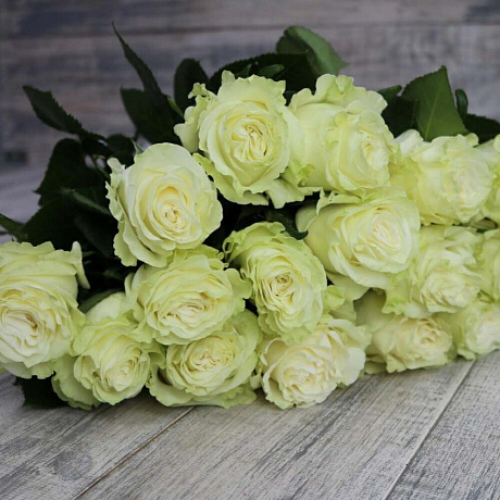 Роза Эквадор Мондиаль 15 штук - Фото 5