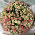 Букет цветов Нежный микс №162 - Фото 3