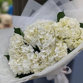 Букет "Королевская гортензия"