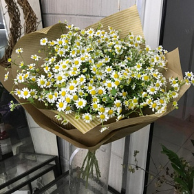 Букет "Ромашки" №212
