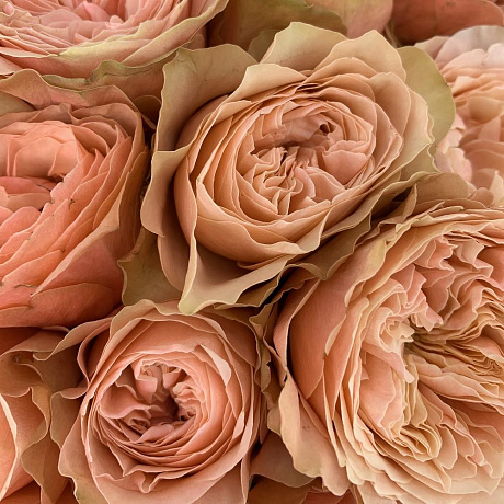 Букет Медовый Поцелуй - Фото 6