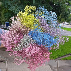 Букет " Мирабель"